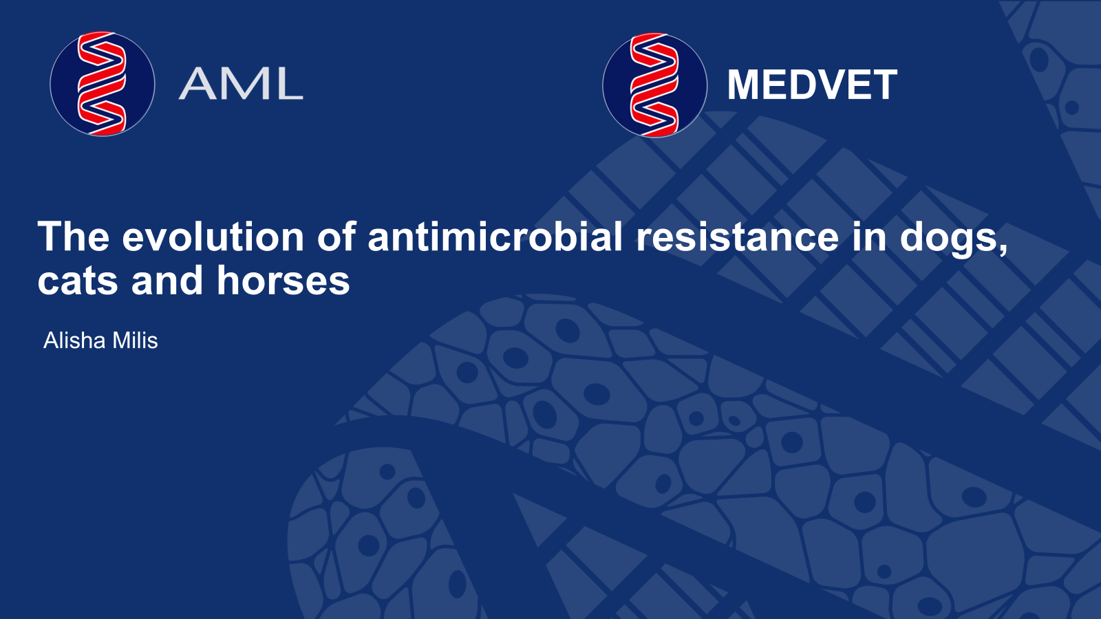 The evolution of antimicrobial resistance in dogs, cats and horses (Alisha Milis – lab at the river AML Antwerp) The evolution of antimicrobial resistance in dogs, cats and horses (Alisha Milis – lab at the river AML Antwerp)