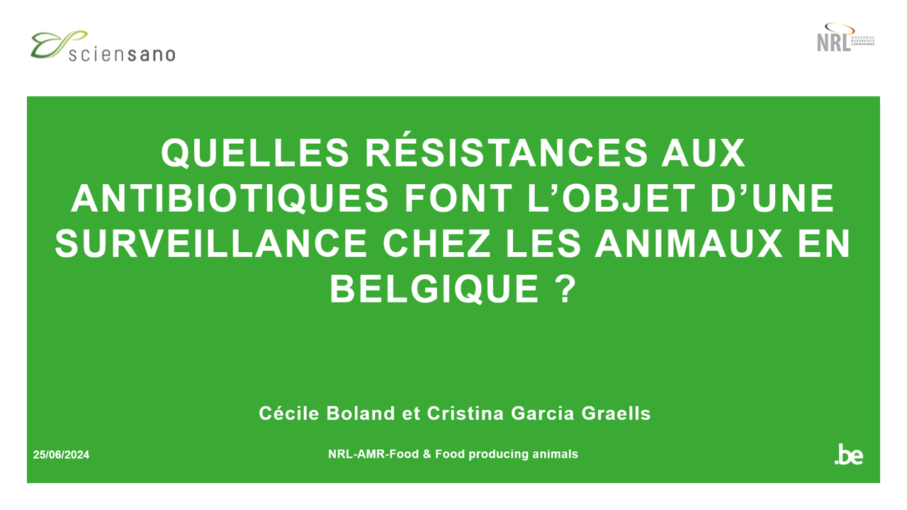 Quelles résistances aux antibiotiques font l’objet d’une surveillance chez les animaux en Belgique ?