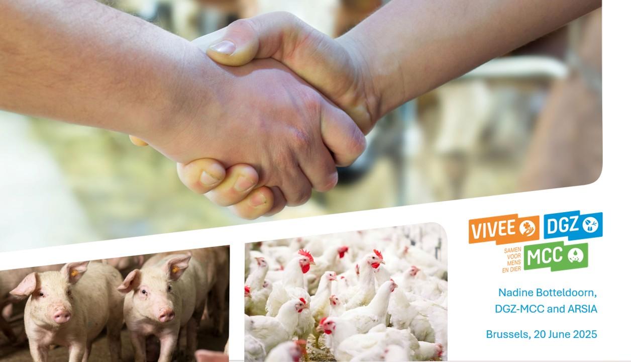Antibiotic resistance in the picture: trends in cattle, pigs and poultry production in Belgium (Nadine Botteldoorn, DGZ-MCC and ARSIA)