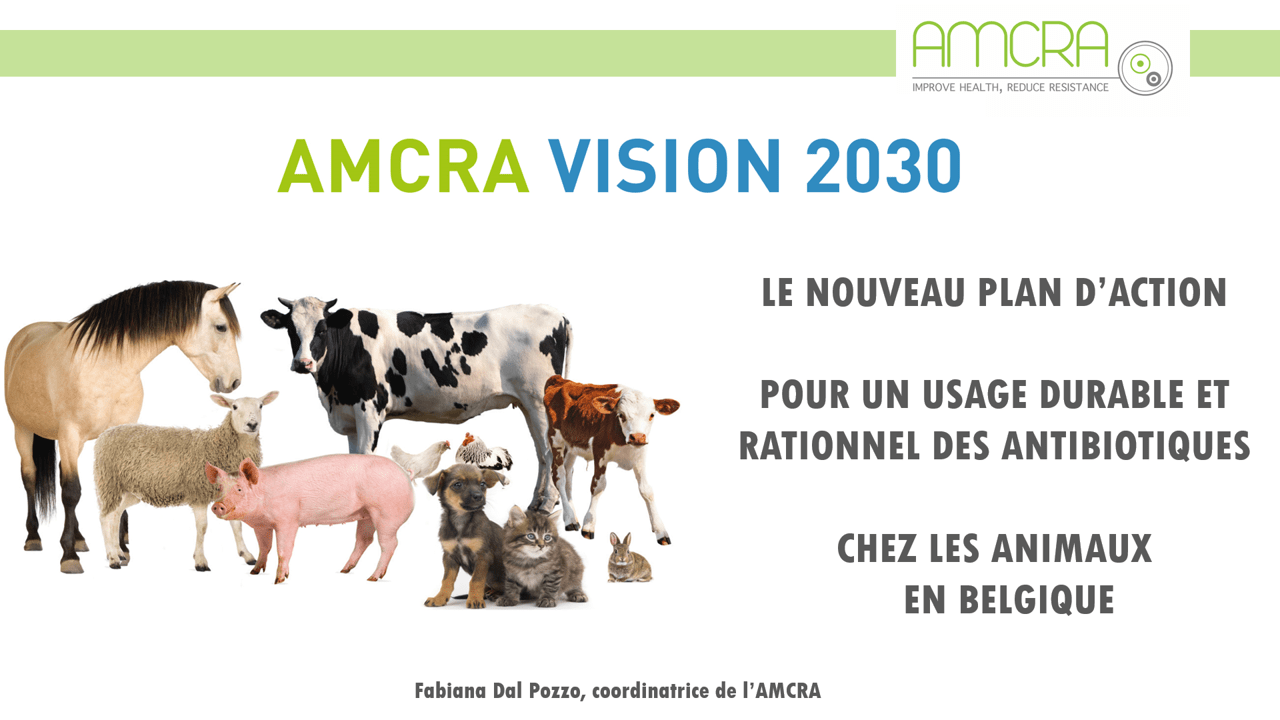 Vision 2030, le nouveau plan d’action d’AMCRA pour un usage durable et rationnel des antibiotiques chez les animaux en Belgique