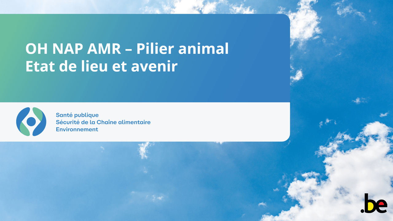 Le Plan d’Action National One-Health contre la RAM – pilier animal : états des lieux et perspectives