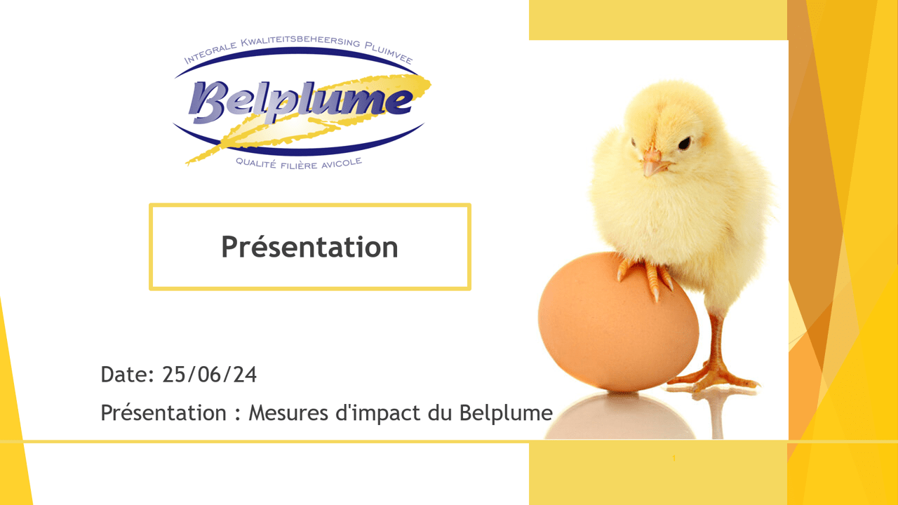 L’impact au cours du temps des initiatives de Belplume sur l’usage des antibiotiques chez la volaille