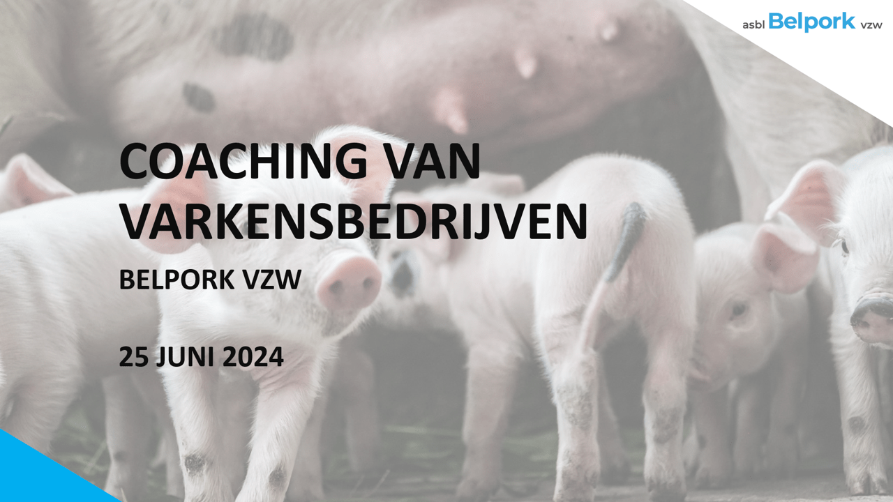 Ervaring met coaching van varkensbedrijven bij Belpork vzw