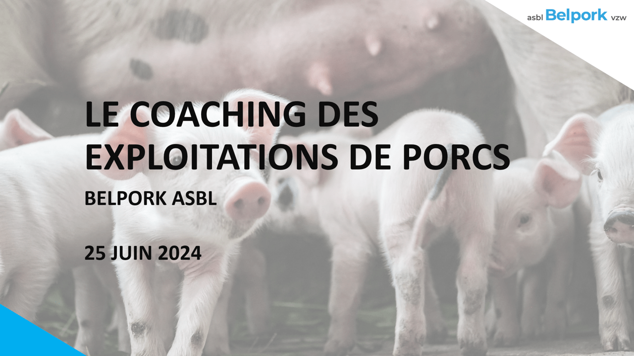 Expériences avec le coaching antibiotique des éleveurs porcins chez Belpork