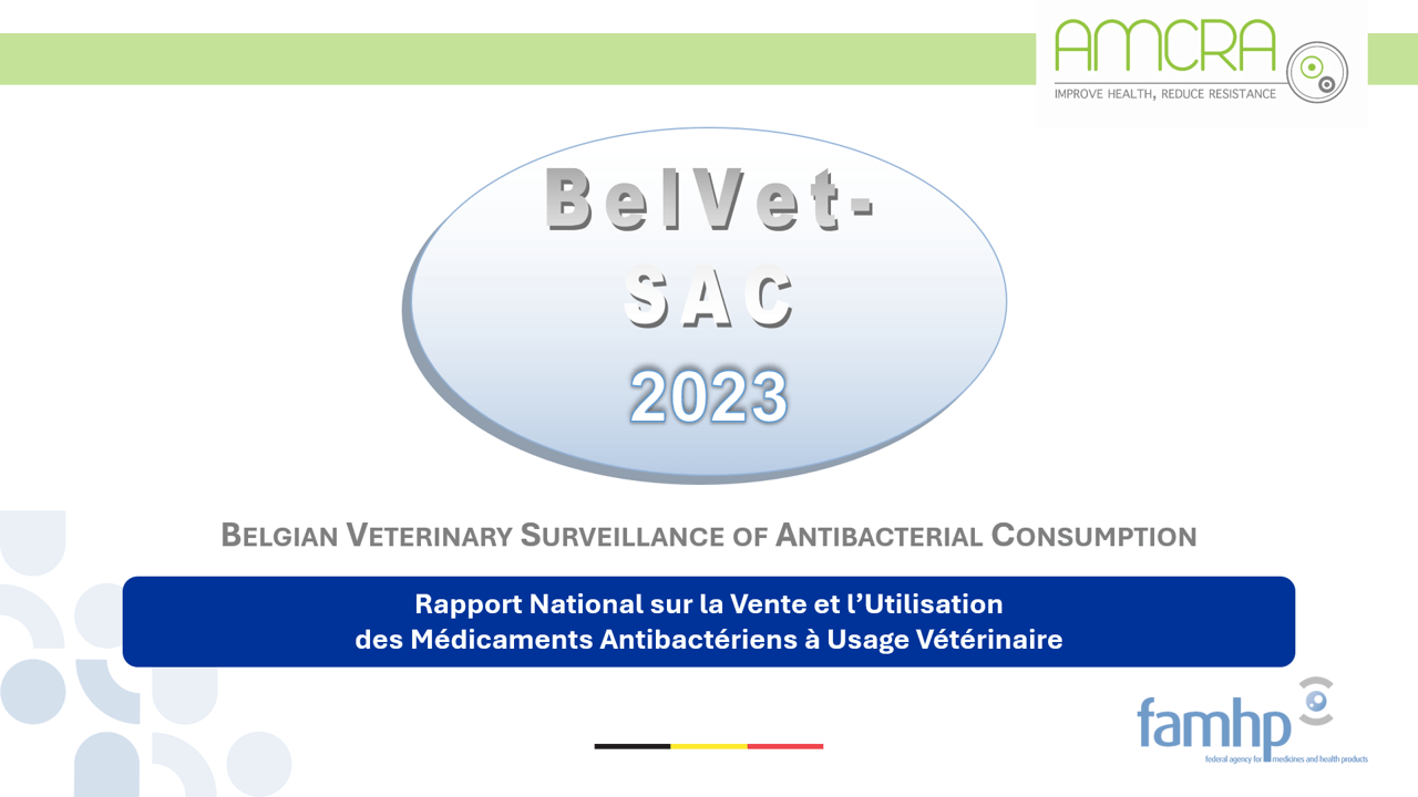 Rapport BelVet-SAC : résultats de vente et d’utilisation d’antibiotiques vétérinaires au niveau national et sectoriel