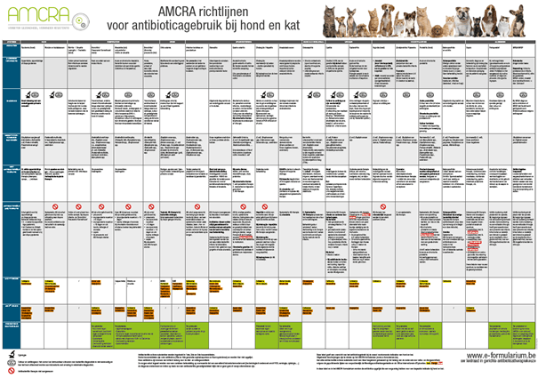 AMCRA richtlijnen voor antibioticagebruik bij hond en kat